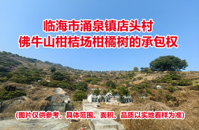 临海市涌泉镇店头村佛牛山柑桔场柑橘树的承包权